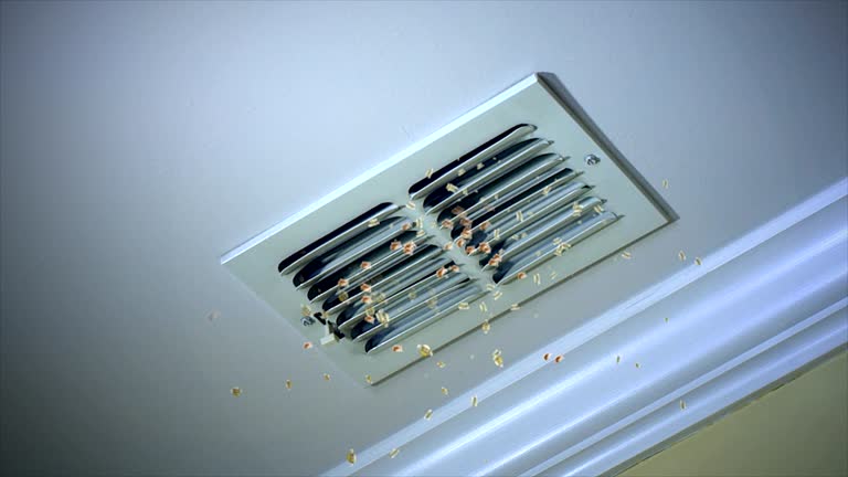 Best Residential Air Duct Cleaning  in Star, ID